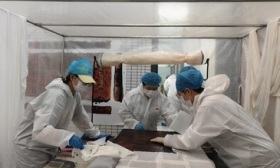 北京城市学院学子段嘉芸：在传承与创新中“拼”出非遗新图景