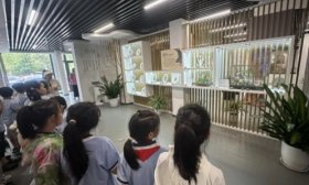 走进百花洲，开展 “水文化” 研学之旅