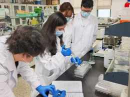 冷藏保存延长6天，南京财经大学学生团队研发扇贝“保鲜膜”