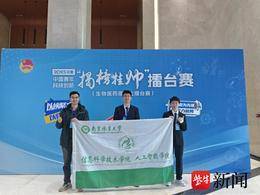 青春华章|我的青春地标：AI+农业，南京林业大学“穗影寻丰”团队提出精确的谷穗计数新方案