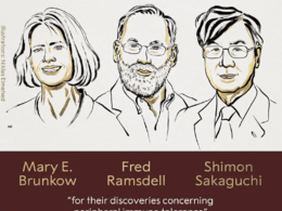 关注2025诺奖|我们的身体如何避免自我攻击？生理学或医学奖颁给了免疫系统的“安保”机制