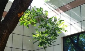 山东财经大学东方学院：打造花园式校园，推进“生态育人”