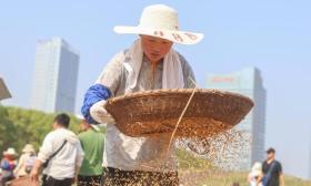 江西南昌：青少年走进农田 体验秋收乐趣