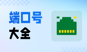常见的网络端口号有哪些？