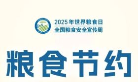 粮食安全宣传周 | 粮食节约 人人有责