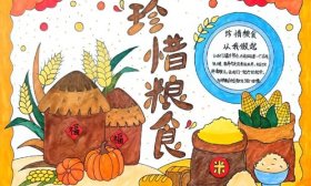 用行动传递惜粮美德！黄金谷学校全国粮食安全宣传周主题活动