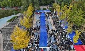 山东中医药大学举行秋季招聘会，260余家用人单位进校揽才