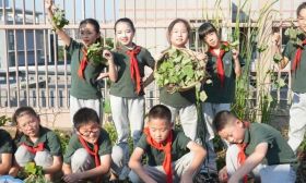 太热闹！这个学校的楼顶农场忙“秋收”！