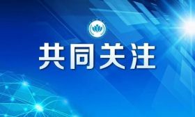 中国共产党第二十届中央委员会第四次全体会议公报