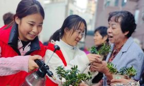 志愿无界，青春有声