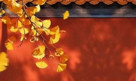 文言文到底该怎么学？用这几种方法，效率翻倍！