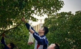 山楂满枝 家校同乐 济南高新区实验中学秋日采摘节热闹上演