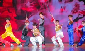 山东省老年人舞蹈协会与山东青年政治学院联合举办重阳节文艺演出