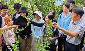 走，上山采药去！