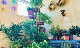 济南高新区春晖小学：“懒”班主任 激发学生自主管理能力