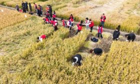 思政育人、劳动育人！鲁劳职院开展“三旅”践悟黄河精神实践活动