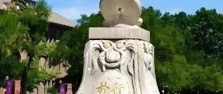 2025年丘成桐中学科学奖成绩发布，10人获保送资格，苏州中学1人！