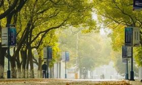 立冬｜岁寒轻启，冬染霜华