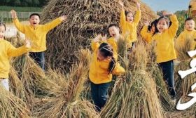 今日立冬 | 寒来暑往 秋收冬藏